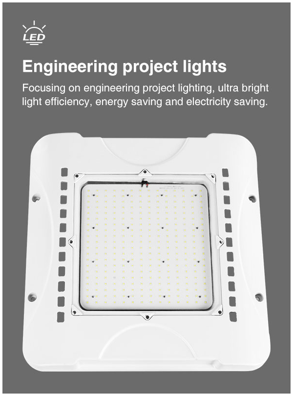 Feilong led canopy light