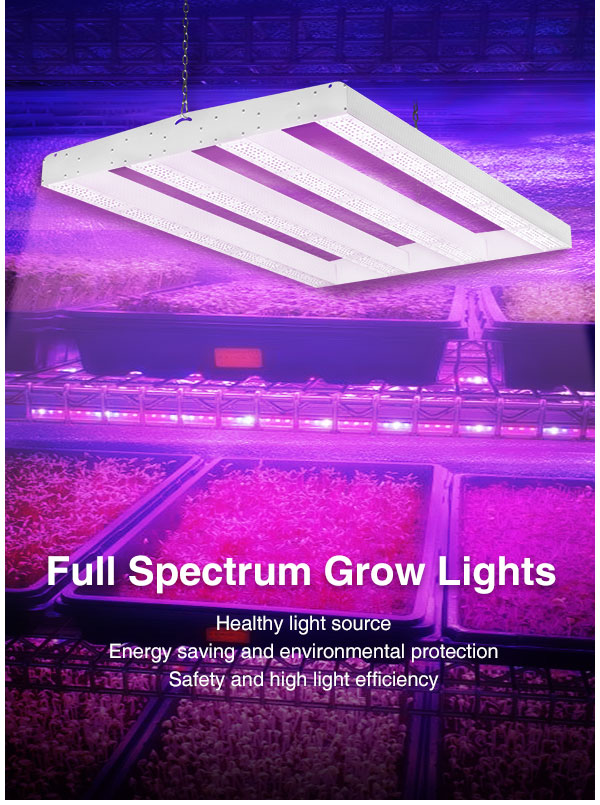 Samsung Lm301b Chinese Direct  Chip LED Grow Light 500w 600w 750w 1000W 8 Bars Hydroponics Full Spectrum medicinal Fluence Commercial Planting