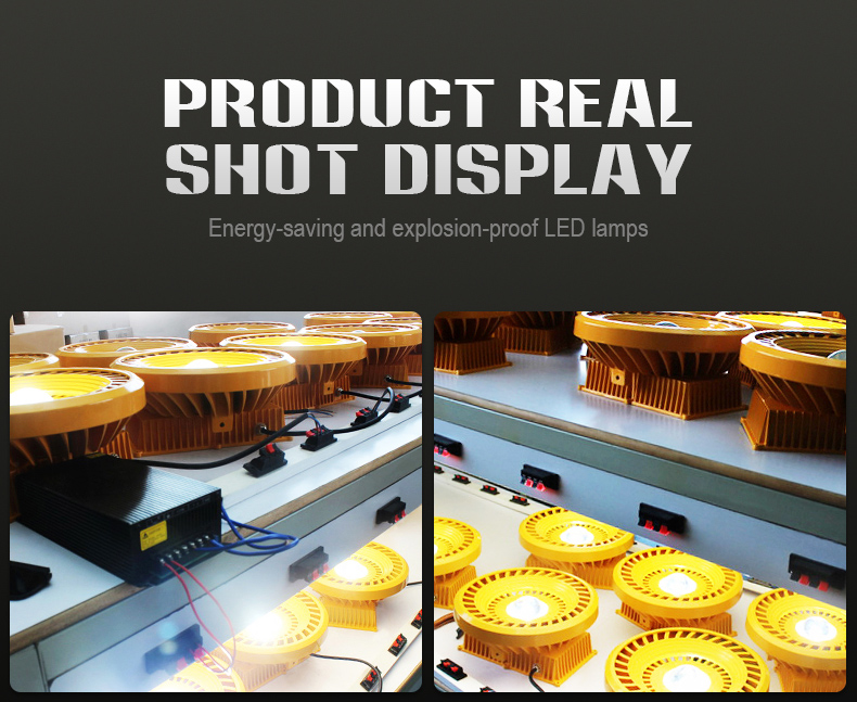 Industrial and mining led explosion-proof natural gas gas station lights