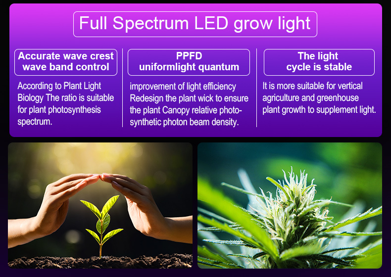 full spectrum led grow light For Green factory commerical FL-ZWD-LYH1