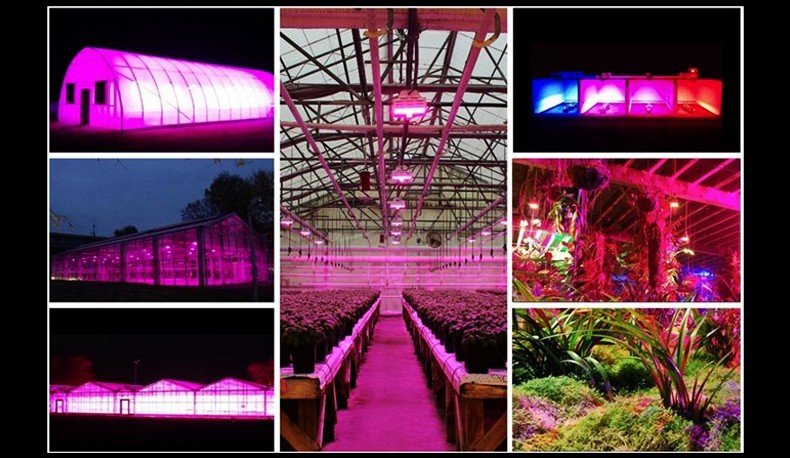 100w 150w 200w UFO full spectrum led grow light for All Indoor plants planting/medical herb