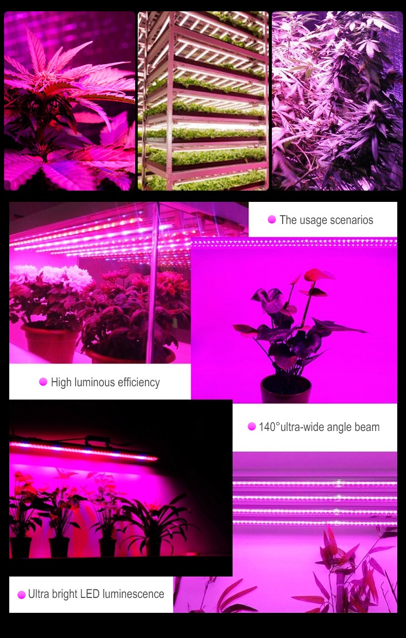 Chinese Direct  Chip LED Grow Light 500w 750w 1000W 8 Bars Hydroponics Full Spectrum Fluence Commercial Planting Fixture FL-ZWD-XT2