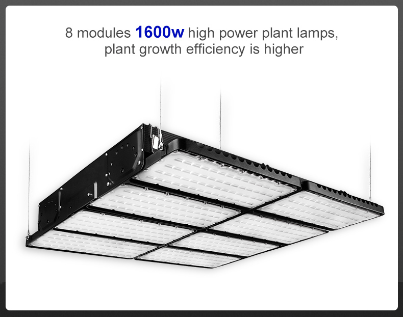 High power module design full spectrum 1600w led grow light for plantFL-ZWD-YY1