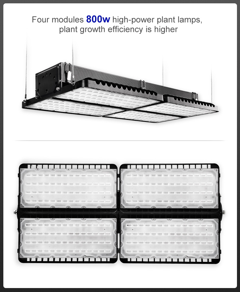 High power module design full spectrum 1600w led grow light for plantFL-ZWD-YY1