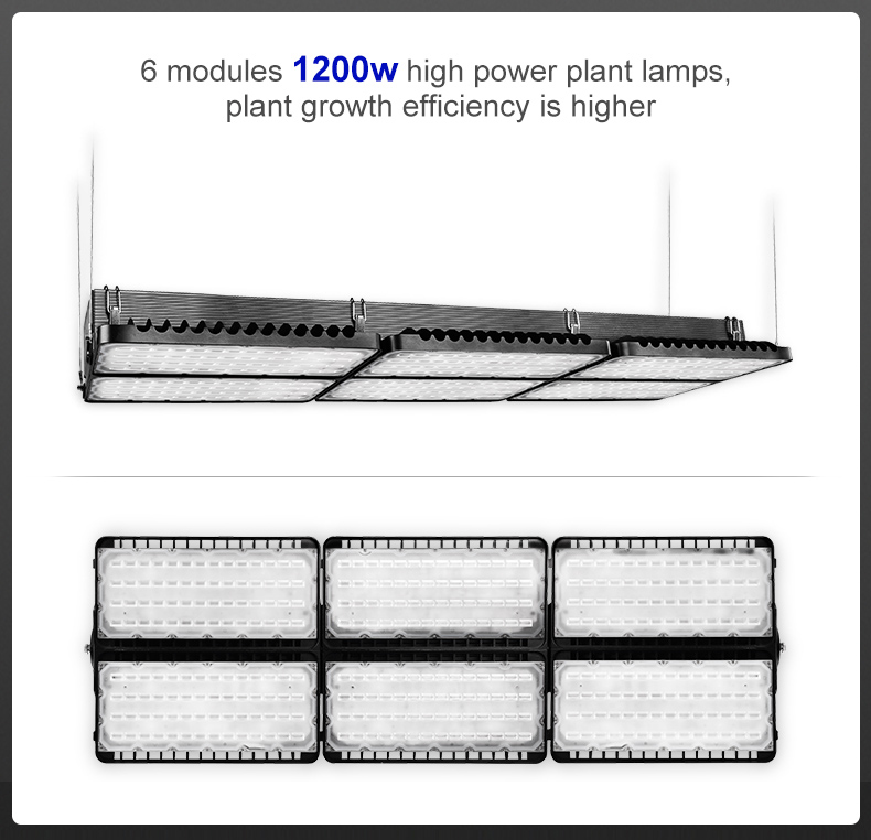 High power module design full spectrum 1600w led grow light for plantFL-ZWD-YY1