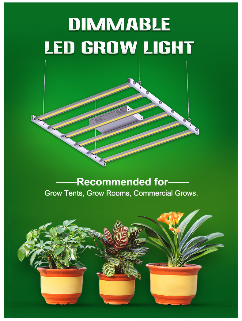 2021 best full spectrum led grow light 600w growlight for indoor growing COMMERCIAL