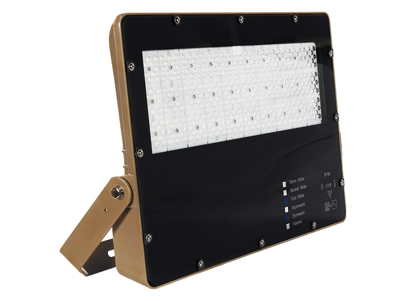 100w 200w Led Flood Lights IP66 Waterproof outdoor 300w cricket baseball stadium lighting Adjustable windproof bracket