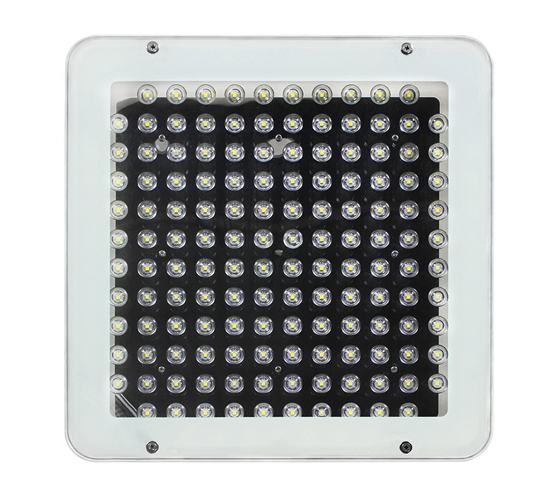 Explosive-proof Surface Mount Canopy Light Fixtures 100w 150w led canopy light gas station