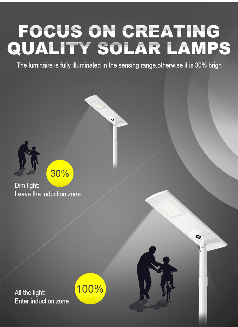 Solar Street Lamps High Lumen Induction Power 30w Waterproof Integrated Modern Outdoor Luminaria Road Led Solar private courtyards Lights