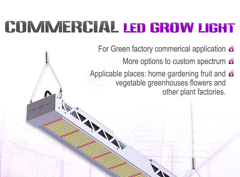 Samsung Lm301b 300W 600W LED Grow Light Full Spectrum Flower Vegetable Growing Succulents Greenhouse Hydroponics Indoor Plant Lamp