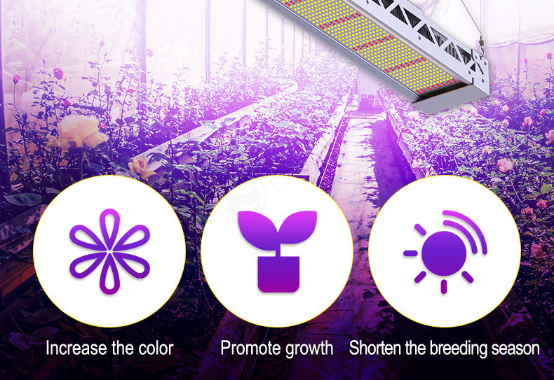 Samsung Lm301b 300W 600W LED Grow Light Full Spectrum Flower Vegetable Growing Succulents Greenhouse Hydroponics Indoor Plant Lamp