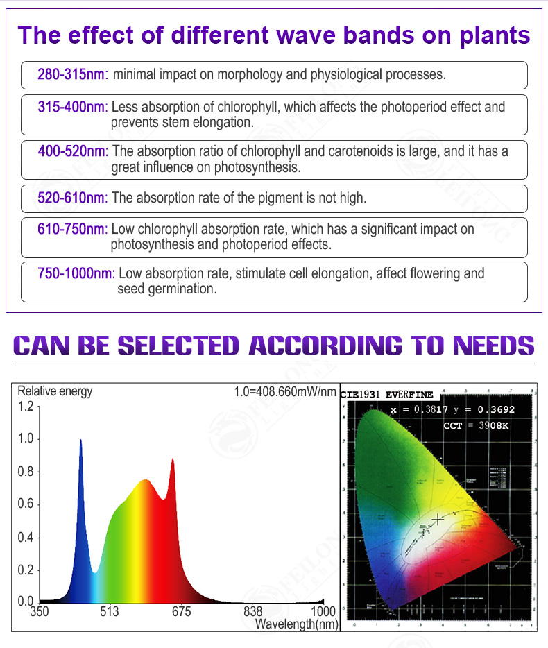 Samsung Lm301b 300W 600W LED Grow Light Full Spectrum Flower Vegetable Growing Succulents Greenhouse Hydroponics Indoor Plant Lamp