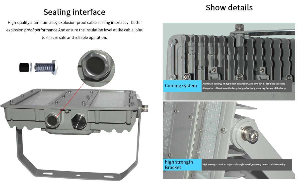 Modular 100W ATEX Canopy Light II Ex d IIC T6 Explosion-proof Zone1/Div1 LED Explosion Gas Station Light