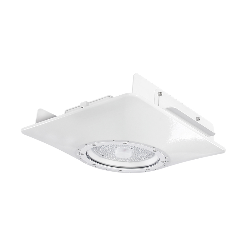 Recessed canopy lighting deals