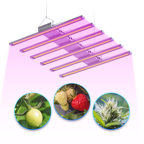 LED Grow Light