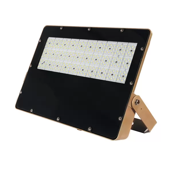 100w 200w led tunnel flood lights IP66 Waterproof outdoor 300w cricket baseball stadium lighting Adjustable windproof bracket