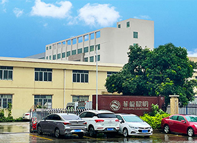 Founded in 2009, Zhongshan Feilong